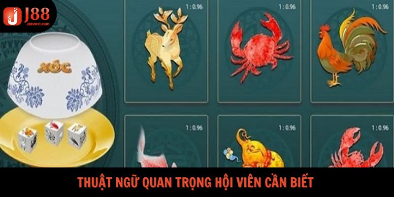 Những thuật ngữ phổ biến thường gặp